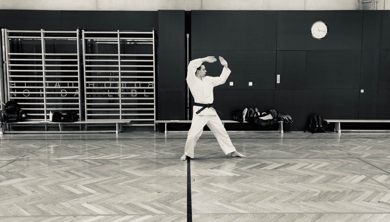 Karate Dojo Graz Trainingsfläche