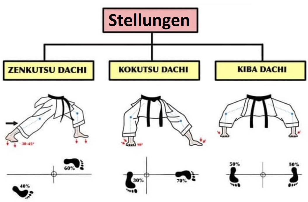 Grundstellungen im Karate: Zenkutsu Dachi, Kokutsu Dachi und Kiba Dachi